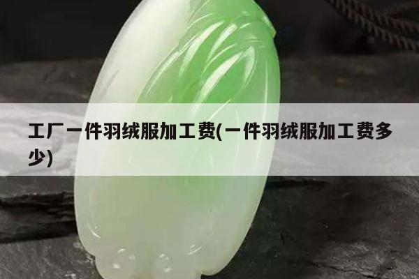 工厂一件羽绒服加工费(一件羽绒服加工费多少)