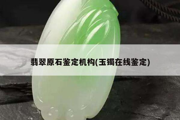 翡翠原石鉴定机构(玉镯在线鉴定)