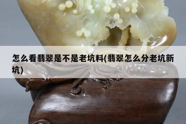 怎么看翡翠是不是老坑料(翡翠怎么分老坑新坑)