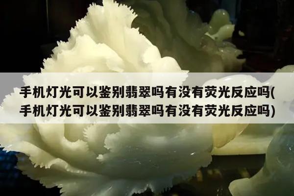 手机灯光可以鉴别翡翠吗有没有荧光反应吗(手机灯光可以鉴别翡翠吗有没有荧光反应吗)