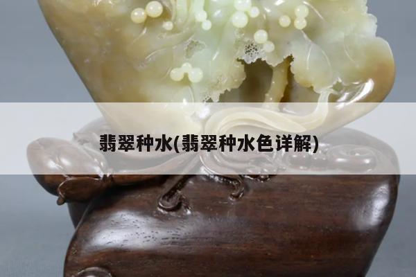 翡翠种水(翡翠种水色详解)
