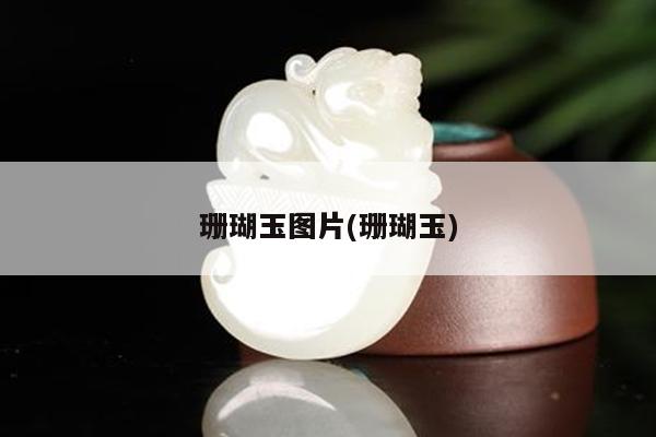 珊瑚玉图片(珊瑚玉)