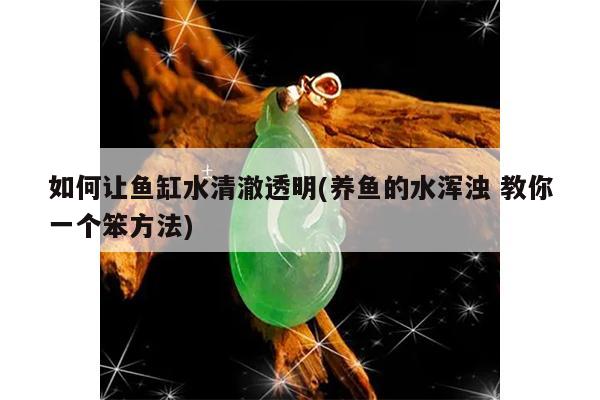 如何让鱼缸水清澈透明(养鱼的水浑浊 教你一个笨方法)
