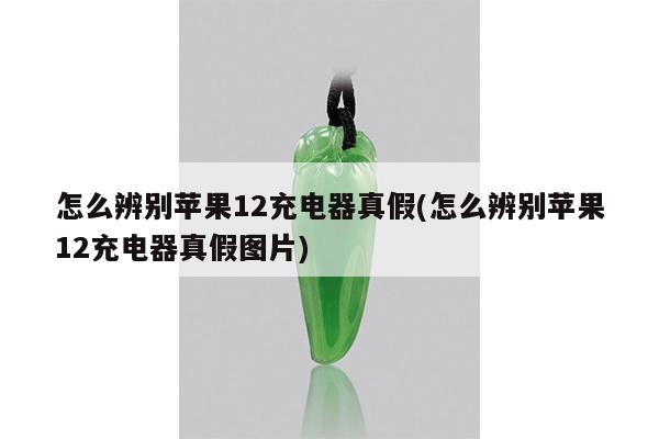 怎么辨别苹果12充电器真假(怎么辨别苹果12充电器真假图片)