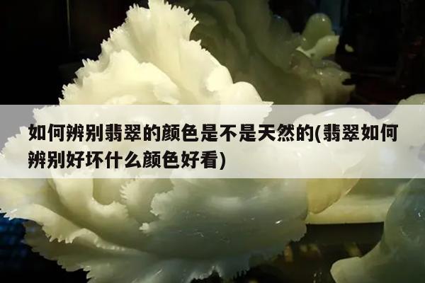 如何辨别翡翠的颜色是不是天然的(翡翠如何辨别好坏什么颜色好看)