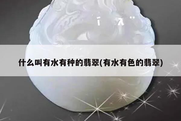 什么叫有水有种的翡翠(有水有色的翡翠)