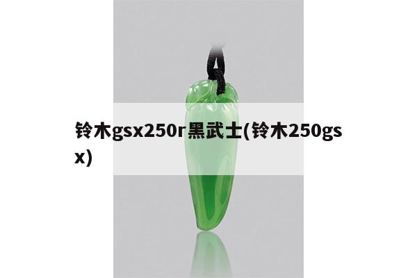 铃木gsx250r黑武士(铃木250gsx)