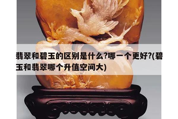 翡翠和碧玉的区别是什么?哪一个更好?(碧玉和翡翠哪个升值空间大)