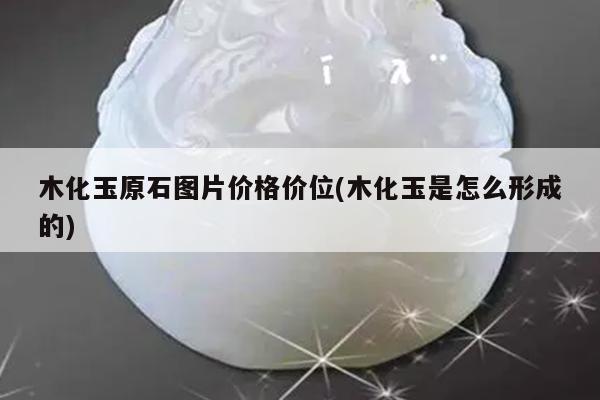 木化玉原石图片价格价位(木化玉是怎么形成的)