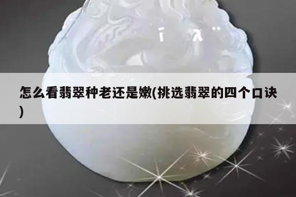 怎么看翡翠种老还是嫩(挑选翡翠的四个口诀)