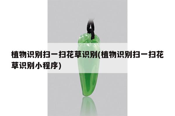 植物识别扫一扫花草识别(植物识别扫一扫花草识别小程序)