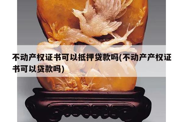 不动产权证书可以抵押贷款吗(不动产产权证书可以贷款吗)