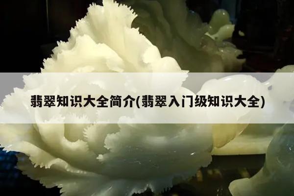 翡翠知识大全简介(翡翠入门级知识大全)