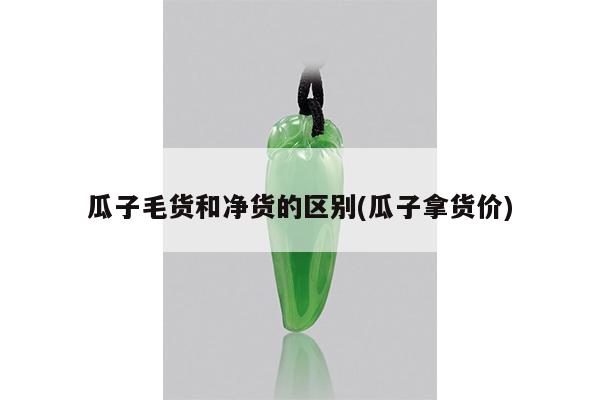 瓜子毛货和净货的区别(瓜子拿货价)