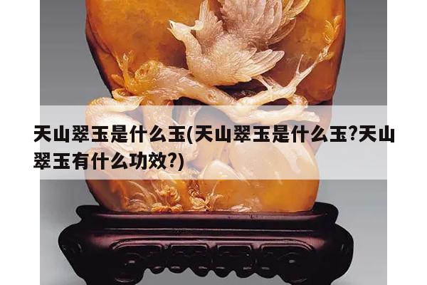 天山翠玉是什么玉(天山翠玉是什么玉?天山翠玉有什么功效?)