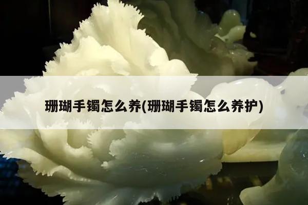 珊瑚手镯怎么养(珊瑚手镯怎么养护)