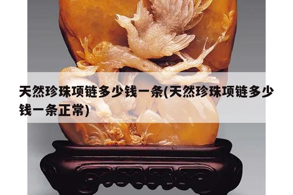 天然珍珠项链多少钱一条(天然珍珠项链多少钱一条正常)