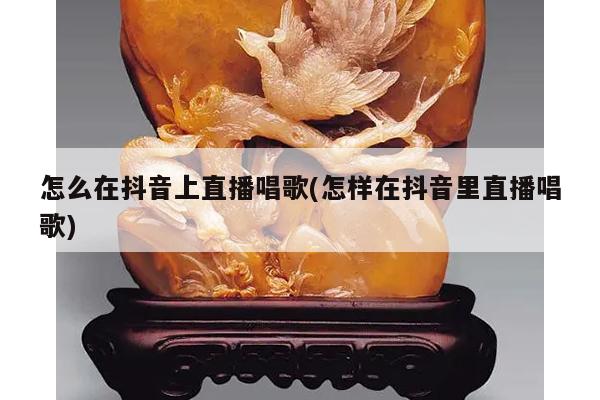 怎么在抖音上直播唱歌(怎样在抖音里直播唱歌)