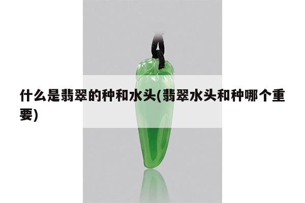 什么是翡翠的种和水头(翡翠水头和种哪个重要)