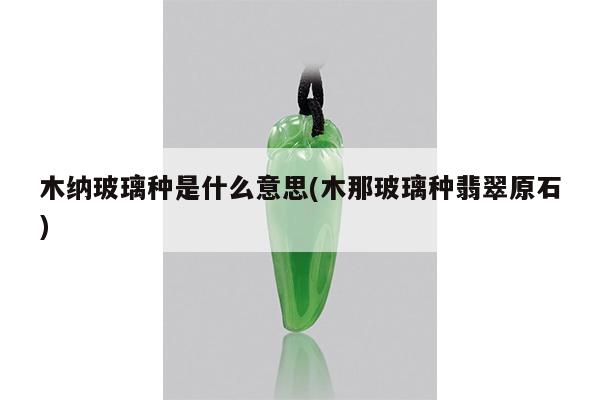 木纳玻璃种是什么意思(木那玻璃种翡翠原石)