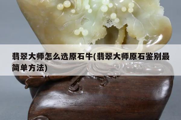 翡翠大师怎么选原石牛(翡翠大师原石鉴别最简单方法)