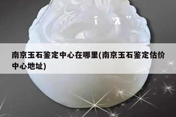 南京玉石鉴定中心在哪里(南京玉石鉴定估价中心地址)