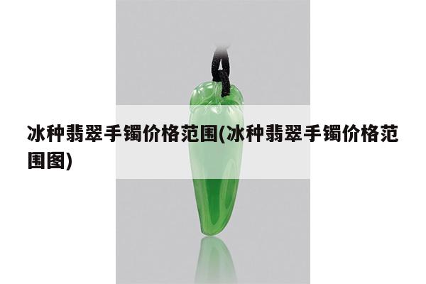 冰种翡翠手镯价格范围(冰种翡翠手镯价格范围图)