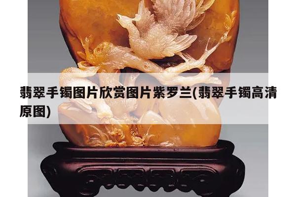 翡翠手镯图片欣赏图片紫罗兰(翡翠手镯高清原图)