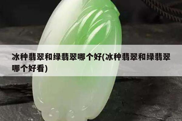 冰种翡翠和绿翡翠哪个好(冰种翡翠和绿翡翠哪个好看)