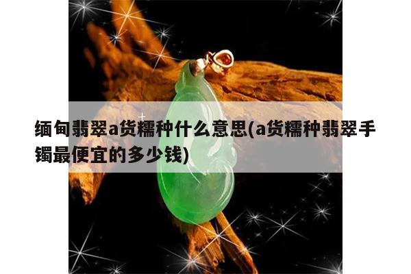 缅甸翡翠a货糯种什么意思(a货糯种翡翠手镯最便宜的多少钱)