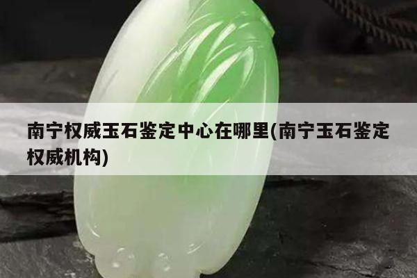 南宁权威玉石鉴定中心在哪里(南宁玉石鉴定权威机构)