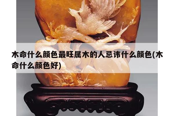 木命什么颜色最旺属木的人忌讳什么颜色(木命什么颜色好)