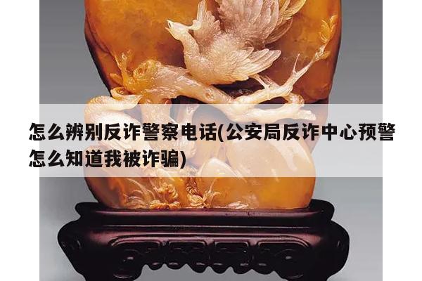 怎么辨别反诈警察电话(公安局反诈中心预警怎么知道我被诈骗)