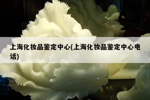 上海化妆品鉴定中心(上海化妆品鉴定中心电话)