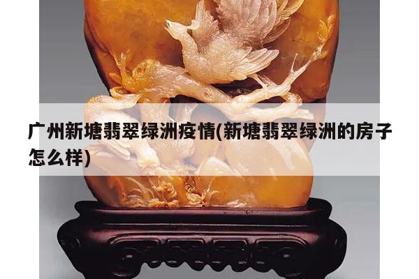 广州新塘翡翠绿洲疫情(新塘翡翠绿洲的房子怎么样)