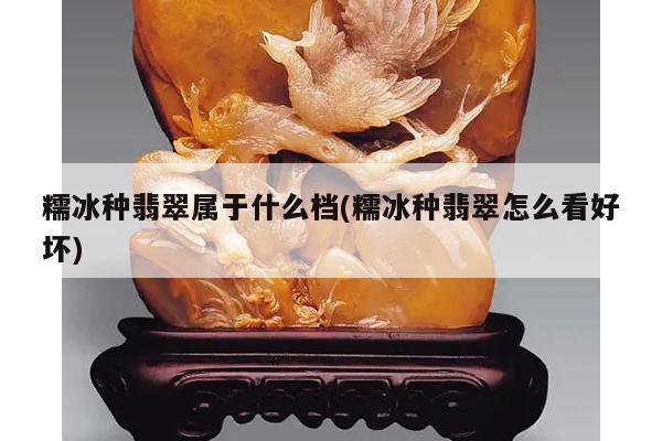 糯冰种翡翠属于什么档(糯冰种翡翠怎么看好坏)