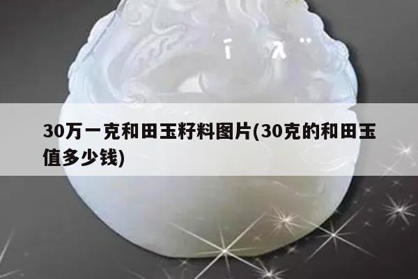 30万一克和田玉籽料图片(30克的和田玉值多少钱)