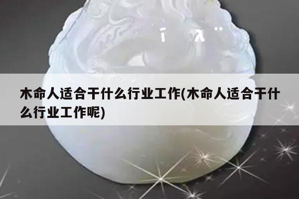 木命人适合干什么行业工作(木命人适合干什么行业工作呢)