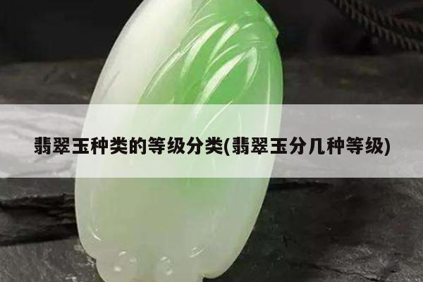 翡翠玉种类的等级分类(翡翠玉分几种等级)
