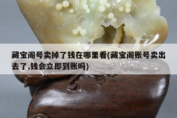 藏宝阁号卖掉了钱在哪里看(藏宝阁账号卖出去了,钱会立即到账吗)