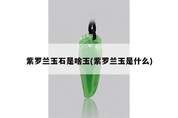 紫罗兰玉石是啥玉(紫罗兰玉是什么)