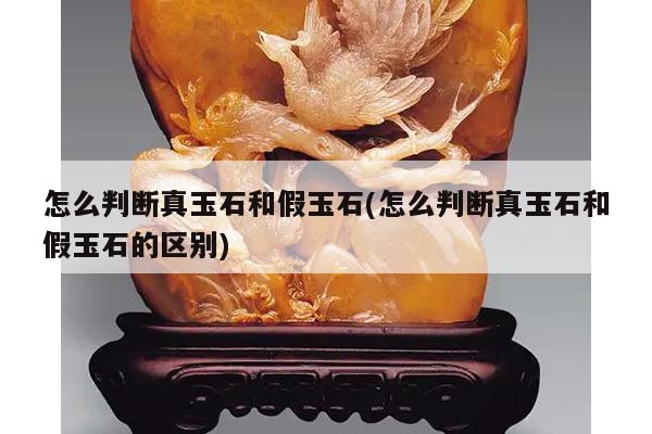 怎么判断真玉石和假玉石(怎么判断真玉石和假玉石的区别)