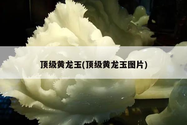 顶级黄龙玉(顶级黄龙玉图片)