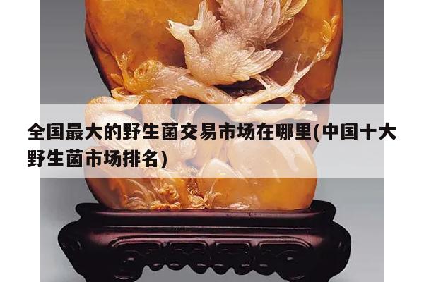 全国最大的野生菌交易市场在哪里(中国十大野生菌市场排名)