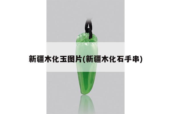 新疆木化玉图片(新疆木化石手串)