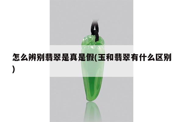 怎么辨别翡翠是真是假(玉和翡翠有什么区别)