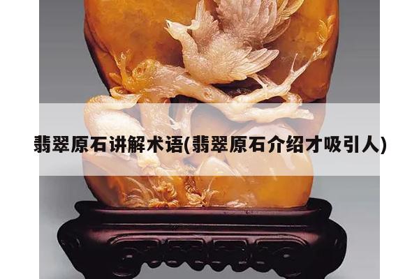 翡翠原石讲解术语(翡翠原石介绍才吸引人)