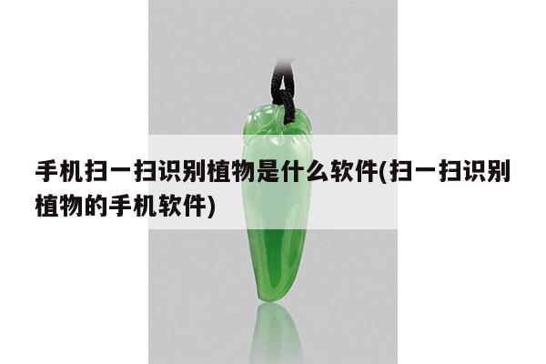 手机扫一扫识别植物是什么软件(扫一扫识别植物的手机软件)