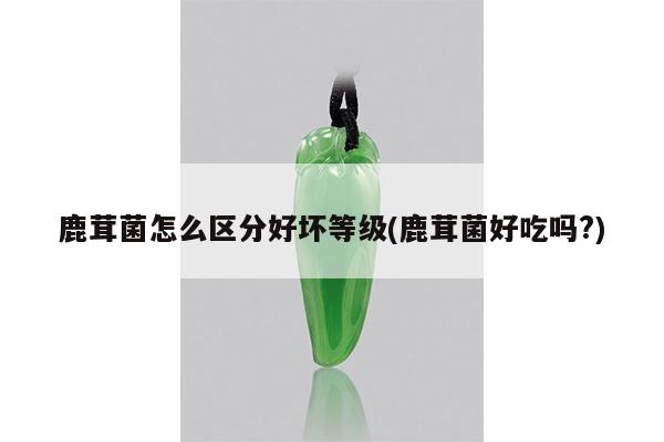 鹿茸菌怎么区分好坏等级(鹿茸菌好吃吗?)