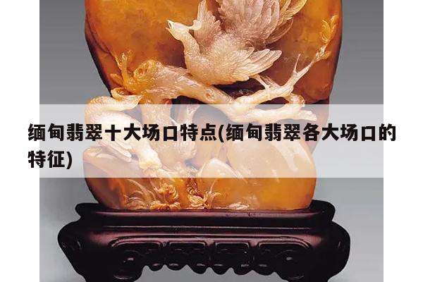 缅甸翡翠十大场口特点(缅甸翡翠各大场口的特征)